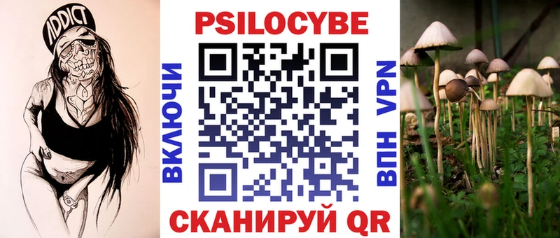 где можно купить наркотик  Сураж  Галлюциногенные грибы MAGIC MUSHROOMS 